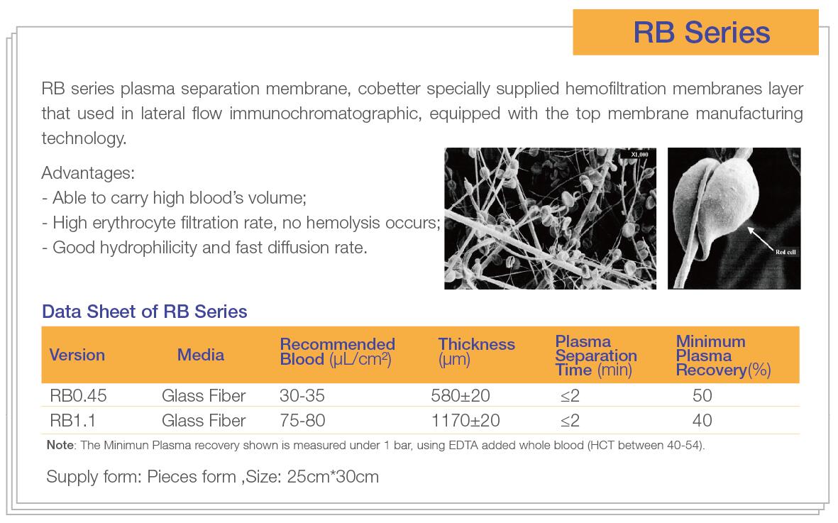 RB-cbt-01.jpg