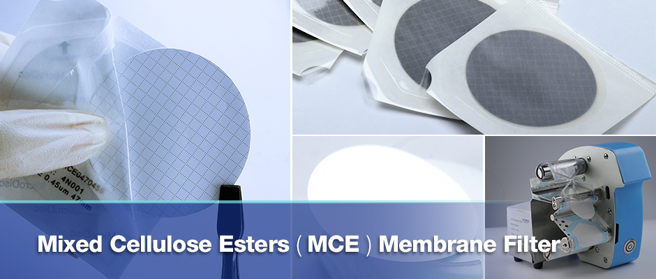 MCE-banner-01.jpg